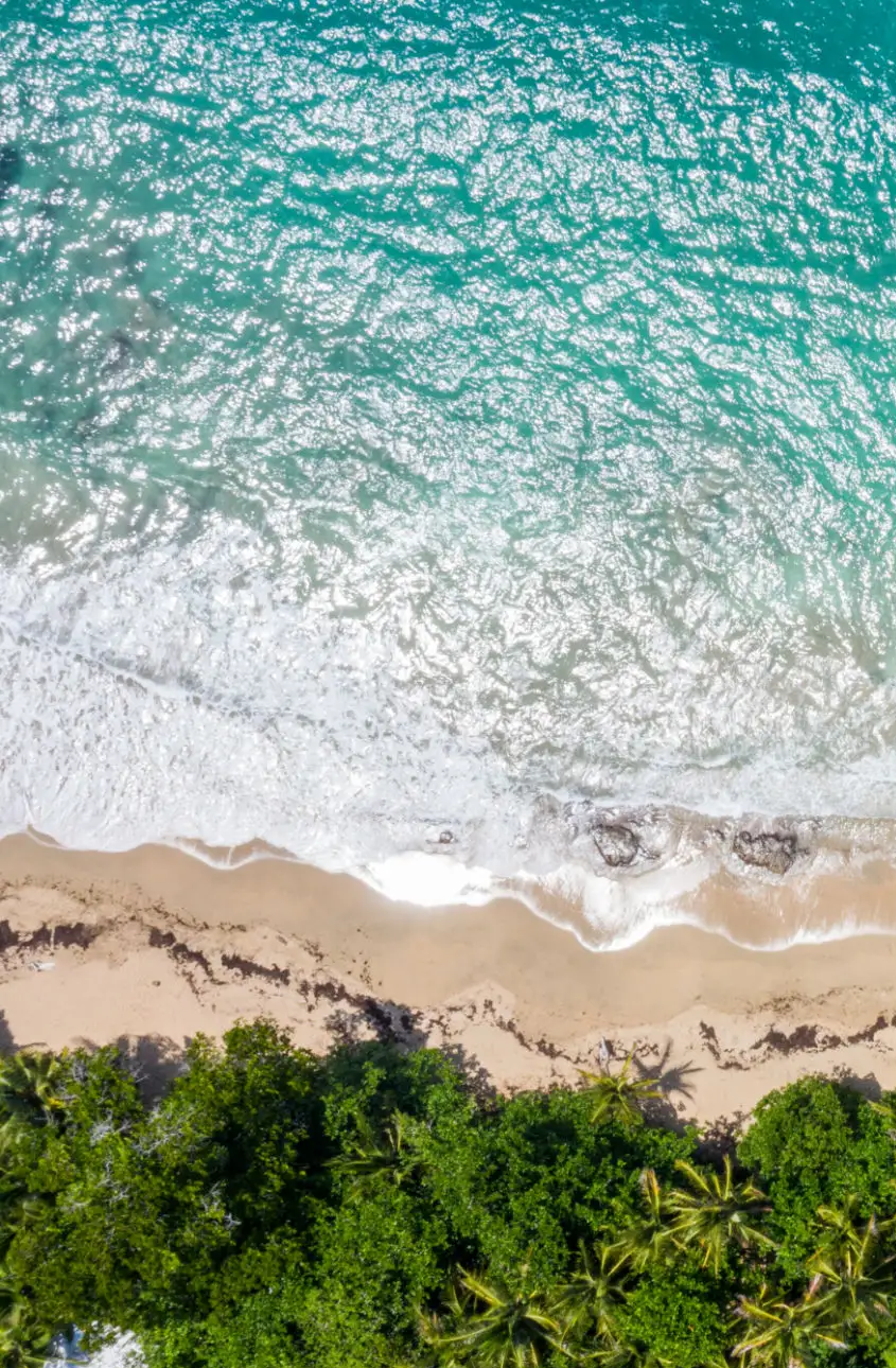 gettyimages 1199456282 2048x2048