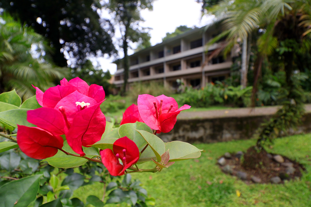 Hotel Karahe and Villas